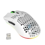 HXSJ T66 RGB 2.4G Wireless Gaming Mouse 1