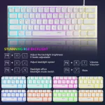MageGee TS91 60% Compact Wired Keyboard 61 Keys RGB 2