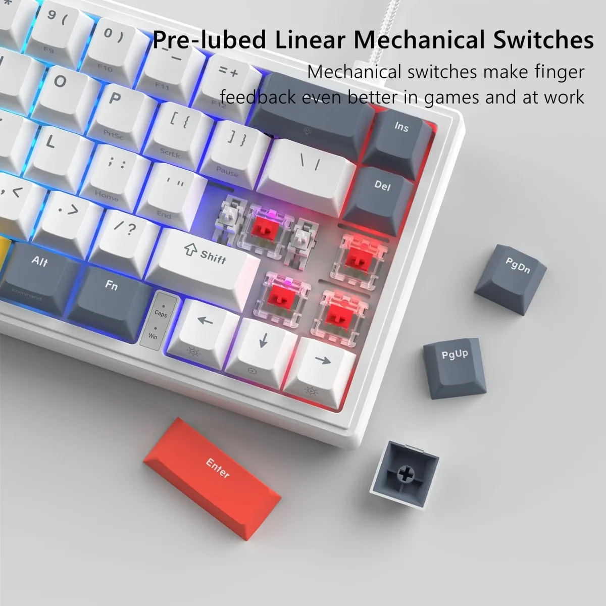 Womier 60% Percent Keyboard V-K66 Mechanical Gaming 3