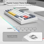 Womier 60% Percent Keyboard V-K66 Mechanical Gaming 4