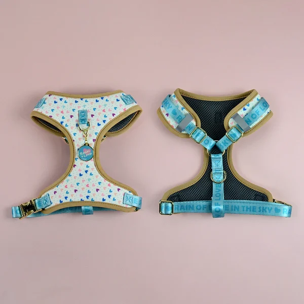 Romantic Holiday Curated Gift Light Luxury Adjustable Personalized Print Dog Harness + 1Pcs Tone Pet ID Tag Free With Purchase 7