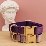 Velvet Collar Free Engrave Dog Collar Leash For Medium Big Pet Necklace Dog Accessories Dog Collars 5