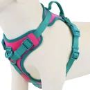 Splicing Colors Breathable For Medium No Pull Dog Harness for large Small dogs Adjustable Chest Strap Dog Harness Personalized 1