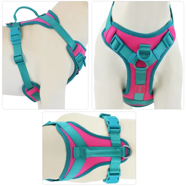 Splicing Colors Breathable For Medium No Pull Dog Harness for large Small dogs Adjustable Chest Strap Dog Harness Personalized 2