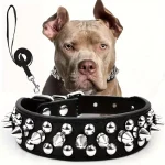 Spiked Dog Collar And Leash Set, Rivet Leather Dog Collar Adjustable Dog Collar For Outdoor Walking 1