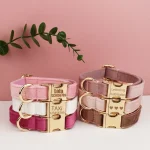 Velvet Collar Free Engrave Dog Collar Leash For Medium Big Pet Necklace Dog Accessories Dog Collars 1