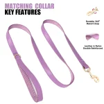 Personalized Dog Collar Leash Bag Set Custom PU Leather Dog Collars Colorful Pet Necklace With Leashes Poop Bag for Dogs Pug 2