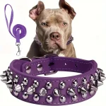 Spiked Dog Collar And Leash Set, Rivet Leather Dog Collar Adjustable Dog Collar For Outdoor Walking 5
