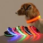 Nylon LED Night Safety Flashing Glow In The Dark Dog Leash Dogs Luminous Fluorescent Pet Dog Collar 1