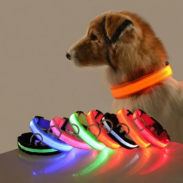 Nylon LED Night Safety Flashing Glow In The Dark Dog Leash Dogs Luminous Fluorescent Pet Dog Collar 1