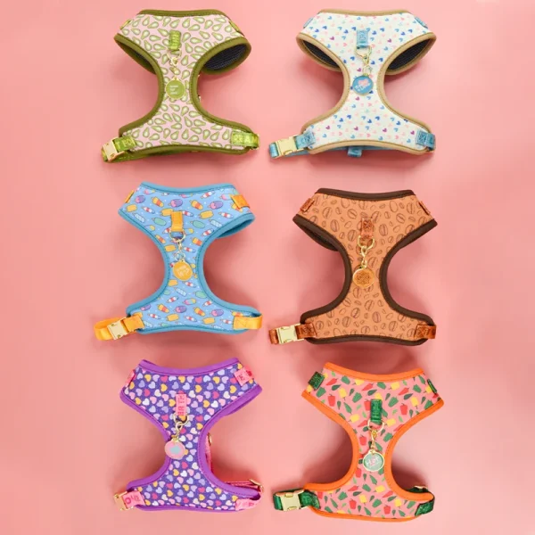 Romantic Holiday Curated Gift Light Luxury Adjustable Personalized Print Dog Harness + 1Pcs Tone Pet ID Tag Free With Purchase 1