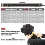 Personalized Pet Collar Customized Nameplate ID Tag Adjustable Suit Fiber Coffee Brown Cat Dog Collars Lead Leash 5
