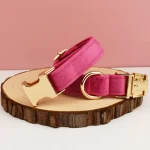 Velvet Collar Free Engrave Dog Collar Leash For Medium Big Pet Necklace Dog Accessories Dog Collars 4