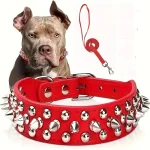 Spiked Dog Collar And Leash Set, Rivet Leather Dog Collar Adjustable Dog Collar For Outdoor Walking 4