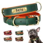 Because Your Pet Deserves the Very Best - PU Leather & Adjustable, XS-XL